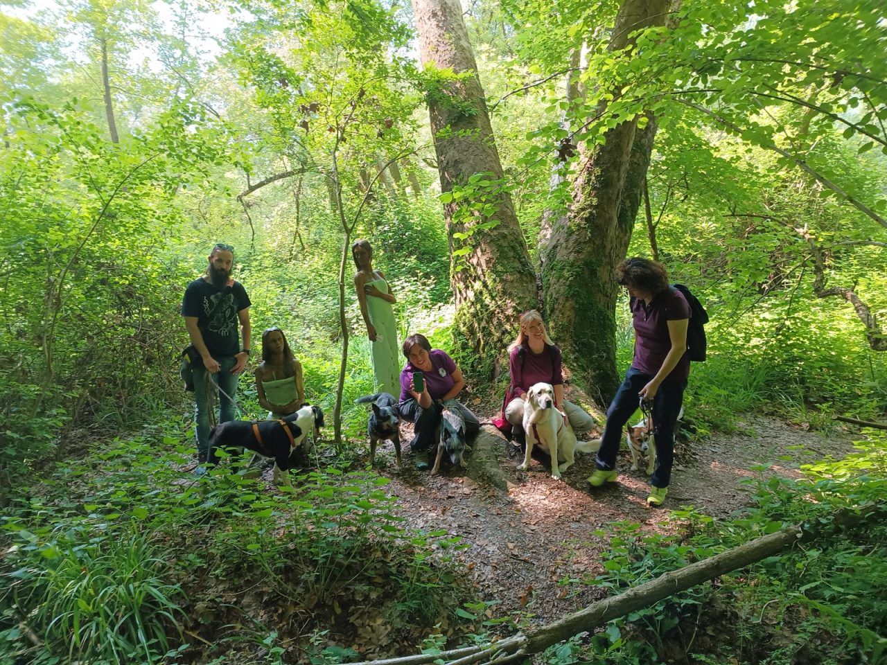 Soci e cani del Branco riuniti nel bosco durante un uscita