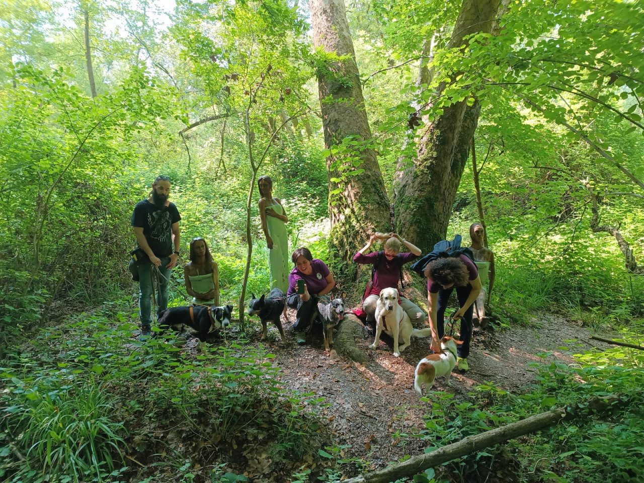 Corsisti e cani durante una lezione pratica all aperto